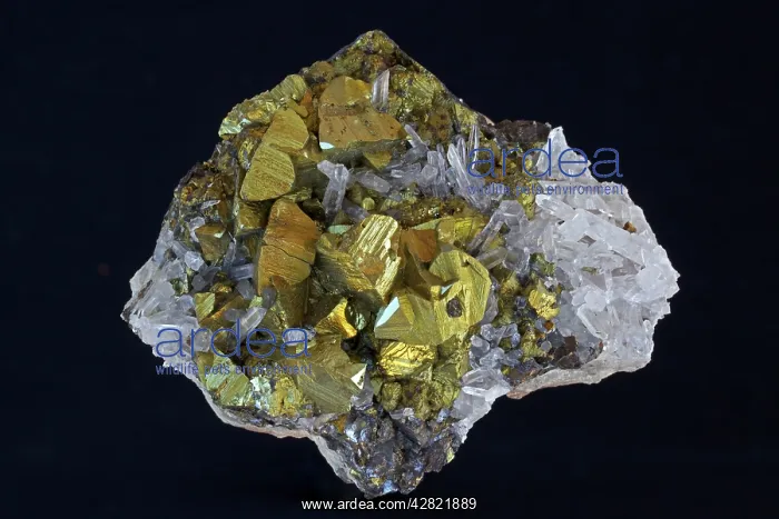 : Chalcopyrite (CuFeS2) (Golden) : Chalcopyrite (CuFeS2) (Golden)