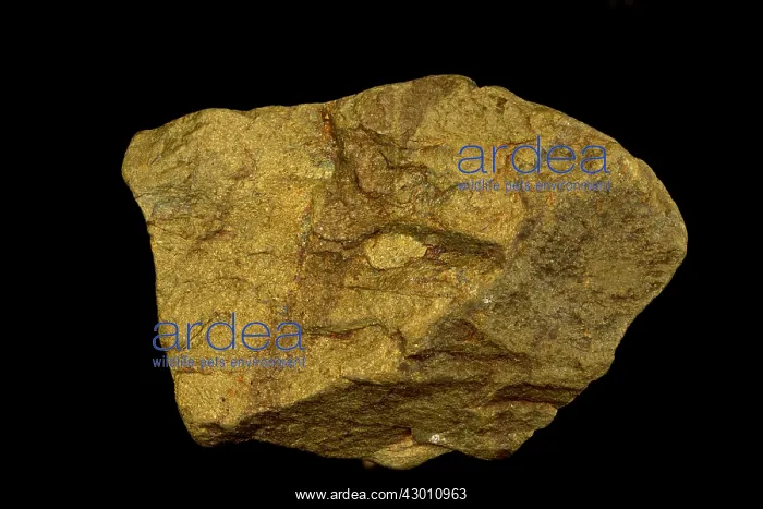 : Chalcopyrite Main Ore Mineral of Copper : Chalcopyrite Main Ore Mineral of Copper