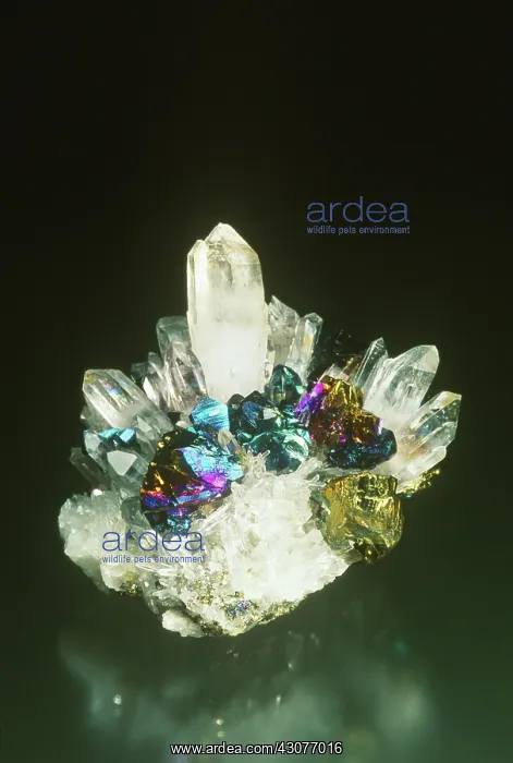 : Chalcopyrite on Quartz : Chalcopyrite on Quartz