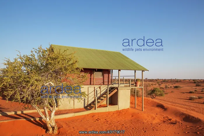: Some of the chalets of the Bagatelle Kalahari Game Ranch are built on top of a sand dune : Some of the chalets of the Bagatelle Kalahari Game Ranch are built on top of a sand dune