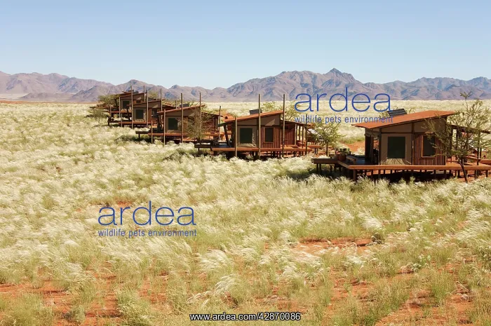 : The chalets of the exclusive Wolwedans dunes lodge : The chalets of the exclusive Wolwedans dunes lodge