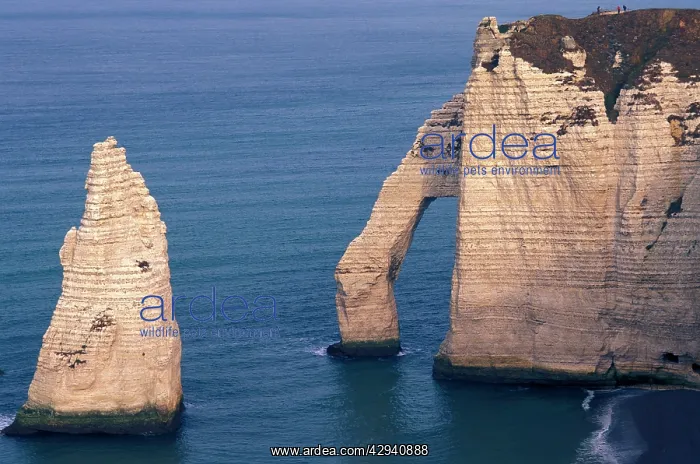  : Chalk Cliff