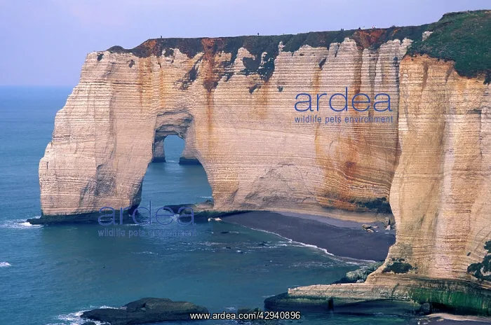 : Chalk Cliff : Chalk Cliff