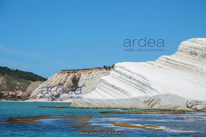 : Chalk cliff Scala dei Turchi, Turkish staircase : Chalk cliff Scala dei Turchi, Turkish staircase
