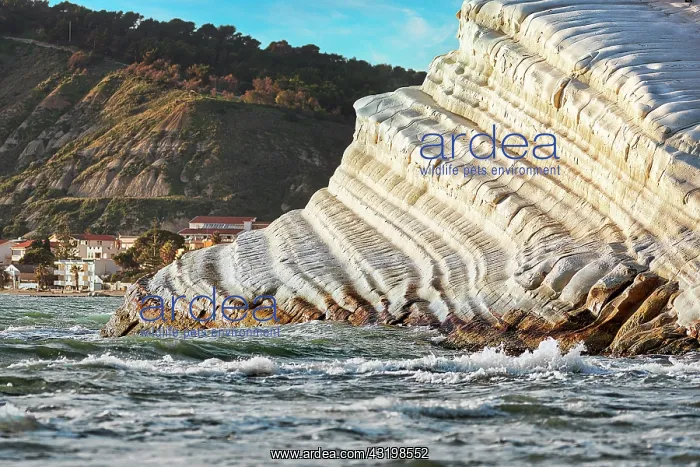 : Chalk cliff Scala dei Turchi, Turkish stairs, Realmonte : Chalk cliff Scala dei Turchi, Turkish stairs, Realmonte