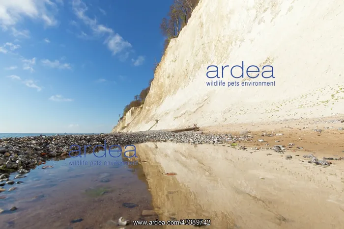 : Chalk cliffs : Chalk cliffs