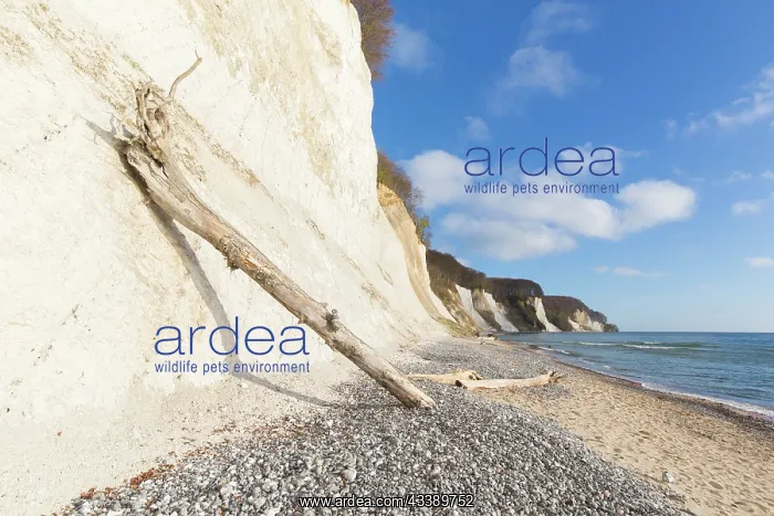 : Chalk cliffs : Chalk cliffs