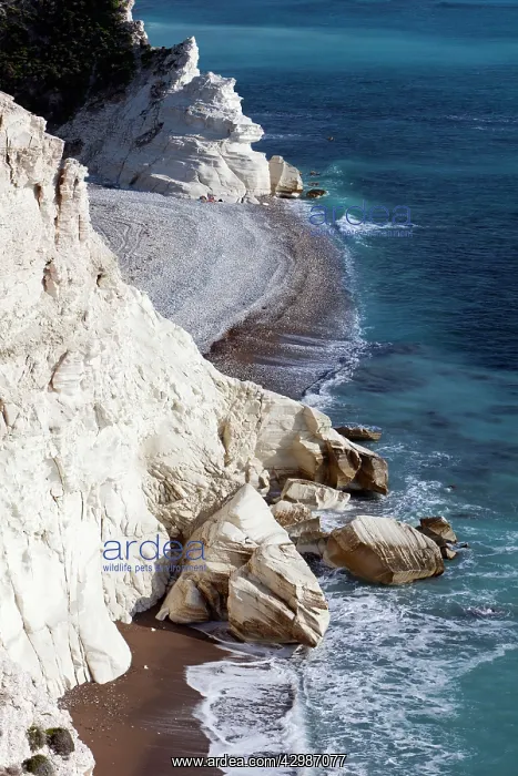 : Chalk Cliffs - beside Aphrodite's Rock : Chalk Cliffs - beside Aphrodite's Rock