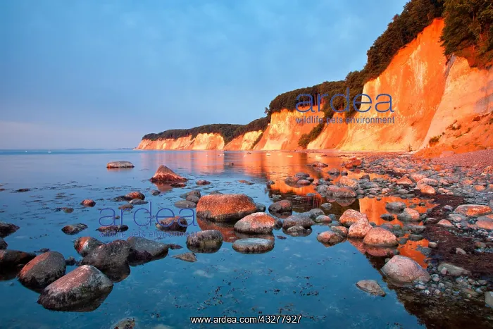 : Chalk cliffs at the Baltic Sea shine in the first : Chalk cliffs at the Baltic Sea shine in the first