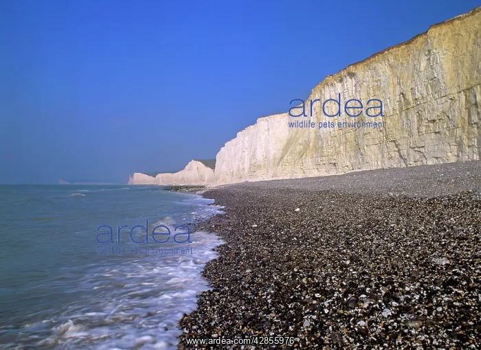 : Chalk cliffs - coastline with beach and chalk cliffs : Chalk cliffs - coastline with beach and chalk cliffs