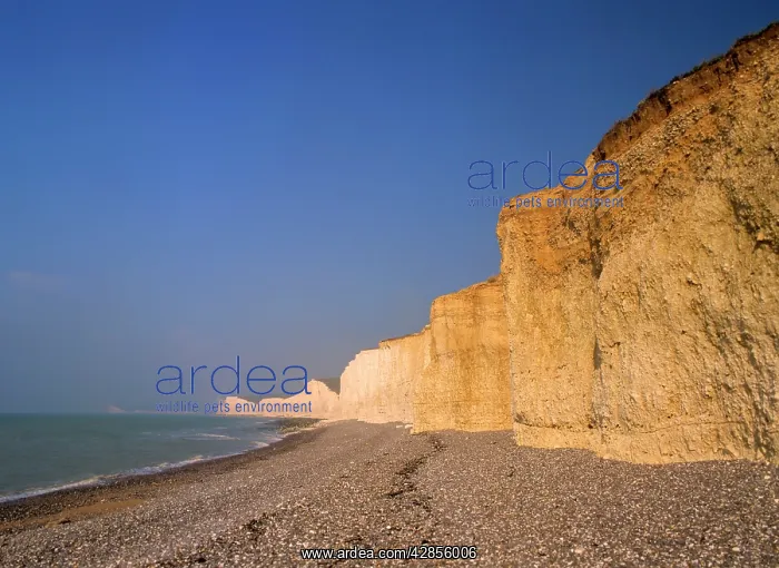 : Chalk cliffs - coastline with beach and chalk cliffs : Chalk cliffs - coastline with beach and chalk cliffs