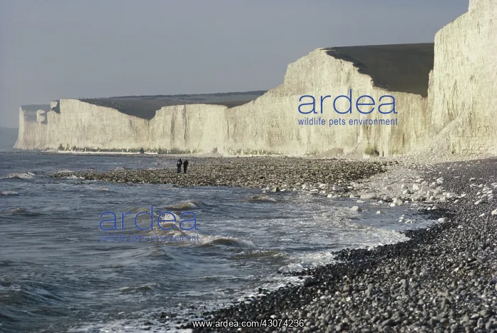  : Chalk Cliffs, England