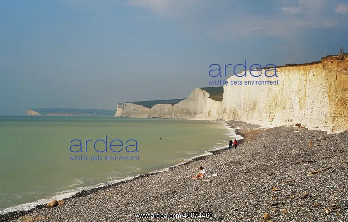 : Chalk Cliffs, England : Chalk Cliffs, England