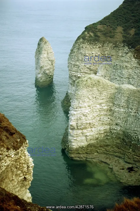  : Chalk cliffs Flamborough Head, Yorkshire