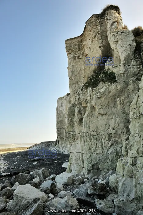 : Chalk cliffs along the French coast : Chalk cliffs along the French coast