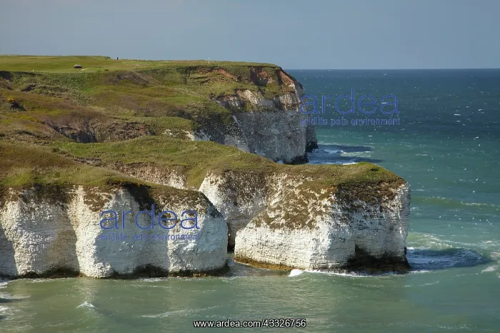 : Chalk cliffs by North Landing, Flamborough : Chalk cliffs by North Landing, Flamborough