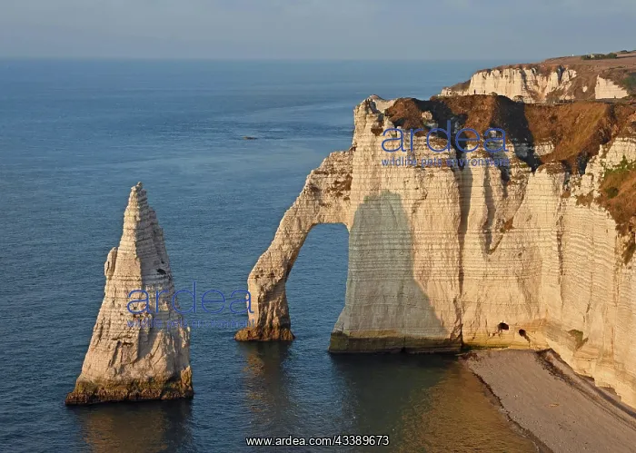 : Chalk cliffs, rock needle Aiguille and Porte dAval : Chalk cliffs, rock needle Aiguille and Porte dAval