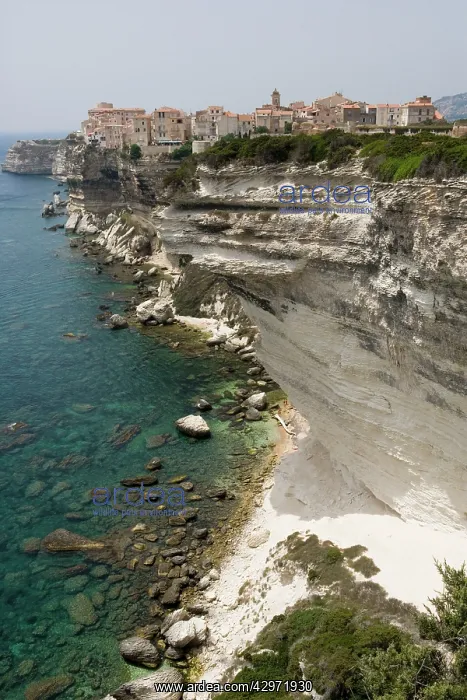 : Chalk cliffs by sea : Chalk cliffs by sea