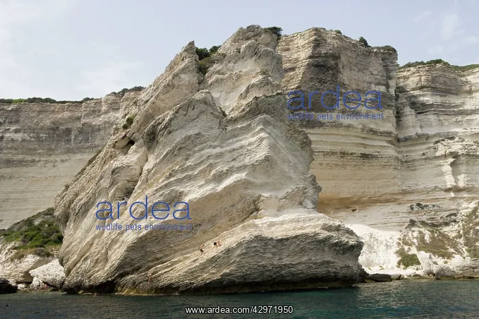 : Chalk cliffs by sea - with swimmers : Chalk cliffs by sea - with swimmers