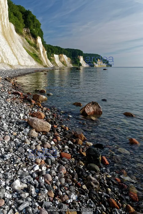 : Chalk Coast, Jasmund National Park, Jasmund Peninsula : Chalk Coast, Jasmund National Park, Jasmund Peninsula