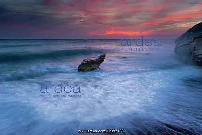 : Chalk Sea Stack at Sunset - beside Aphrodite's Rock : Chalk Sea Stack at Sunset - beside Aphrodite's Rock
