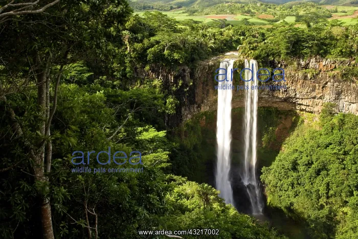 : Chamarel Waterfall-highest on Mauritius : Chamarel Waterfall-highest on Mauritius