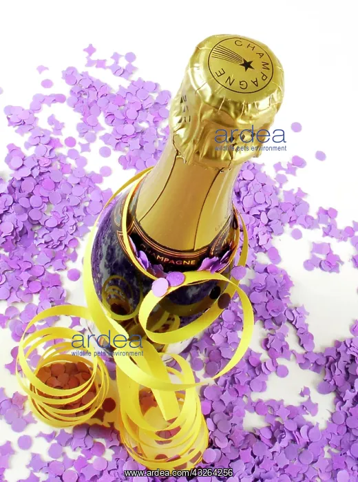 : Champagne bottle with streamers and confetti : Champagne bottle with streamers and confetti