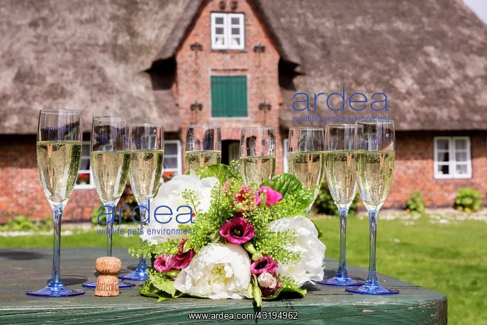 : Champagne glasses and bouquet in front of museum : Champagne glasses and bouquet in front of museum