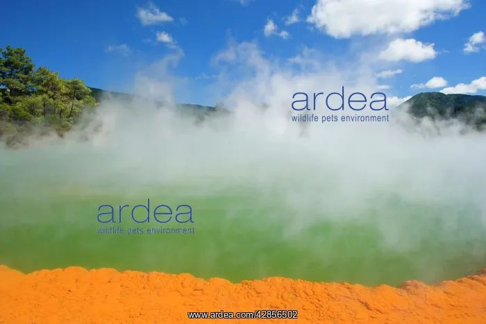 : The Champagne Pool - a colourful hot spring in : The Champagne Pool - a colourful hot spring in