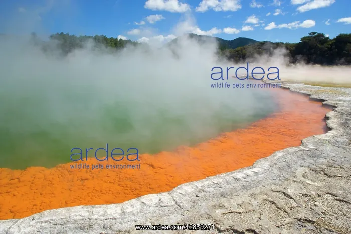 : The Champagne Pool - a colourful hot spring in : The Champagne Pool - a colourful hot spring in