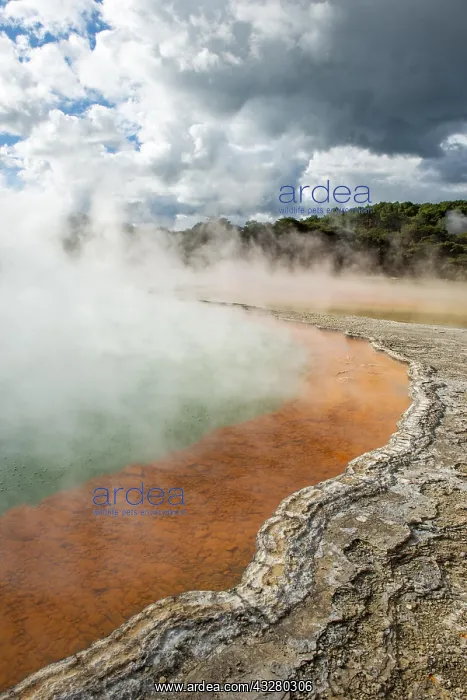 : Champagne Pool, hot spring, Waiotapu Geothermal : Champagne Pool, hot spring, Waiotapu Geothermal