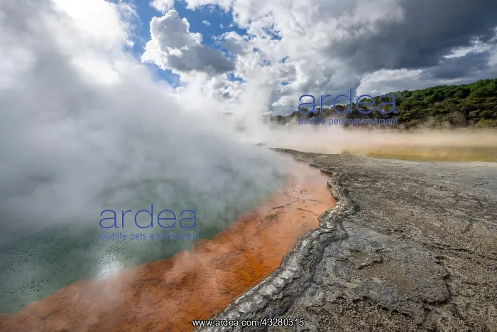 : Champagne Pool, hot spring, Waiotapu Geothermal : Champagne Pool, hot spring, Waiotapu Geothermal