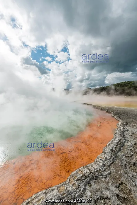 : Champagne Pool, hot spring, Waiotapu Geothermal : Champagne Pool, hot spring, Waiotapu Geothermal