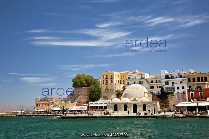 : Chania, Crete, Greece : Chania, Crete, Greece