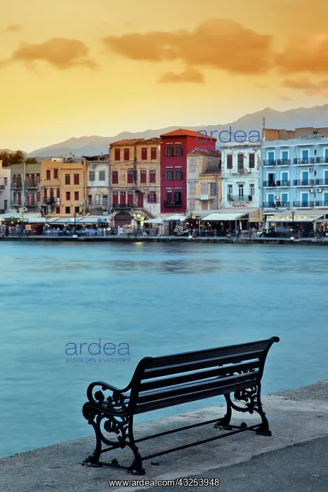 : Chania at dusk, Chania, Crete, Greece : Chania at dusk, Chania, Crete, Greece