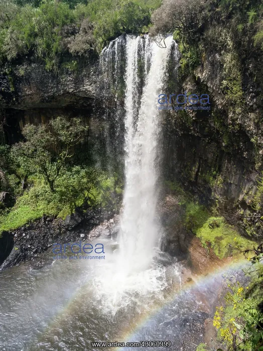 : Chania Fall in Aberdare National Park in : Chania Fall in Aberdare National Park in