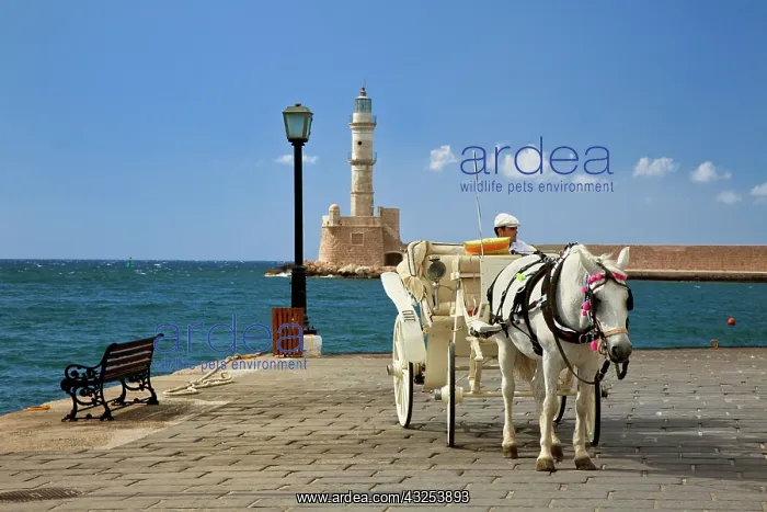 : Chania Lighthouse, Chania, Crete, Greece : Chania Lighthouse, Chania, Crete, Greece