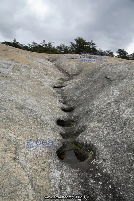 : Channel Eroded by Water : Channel Eroded by Water