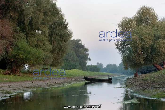 : The Channels of the Danube Delta, Romania : The Channels of the Danube Delta, Romania