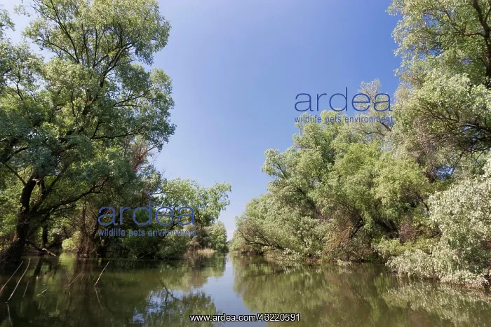 : Channels and lakes in the Danube Delta : Channels and lakes in the Danube Delta