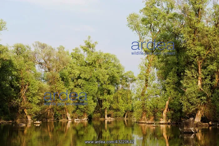 : Channels and lakes in the Danube Delta : Channels and lakes in the Danube Delta