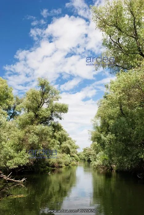 : Channels and lakes in the Danube Delta : Channels and lakes in the Danube Delta