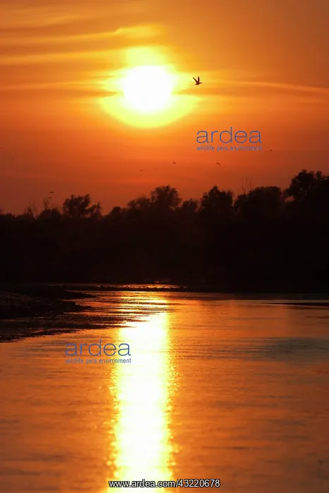 : Channels and lakes during sunset in the : Channels and lakes during sunset in the