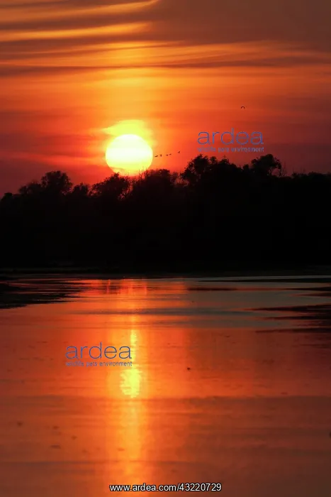 : Channels and lakes during sunset in the : Channels and lakes during sunset in the