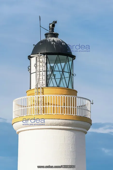 : Chanonry Lighthouse on the Black Isle, Chanonry : Chanonry Lighthouse on the Black Isle, Chanonry