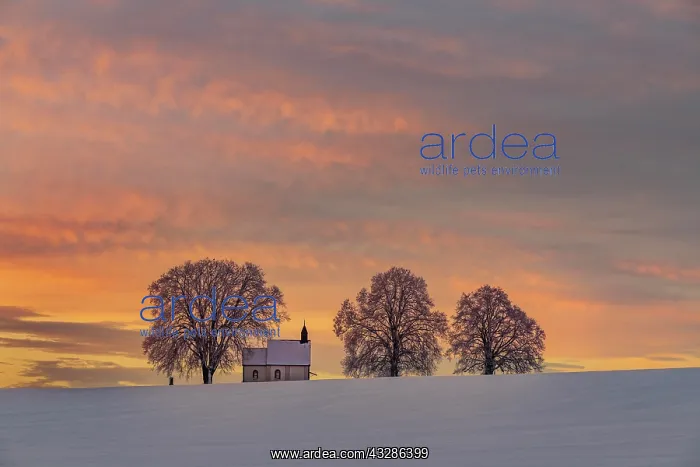 : Chapel 14 emergency helpers with old trees in snow-covered : Chapel 14 emergency helpers with old trees in snow-covered