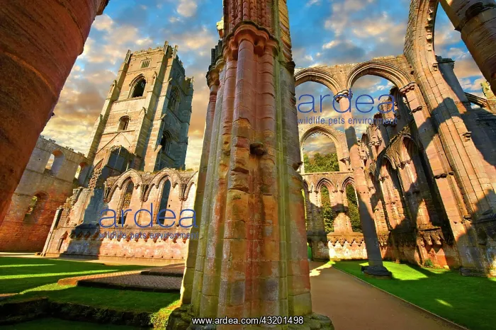 : Side chapel and bell tower of Fountains Abbey, ruined : Side chapel and bell tower of Fountains Abbey, ruined