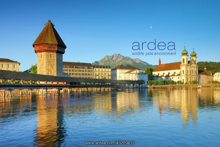 : Chapel Bridge with Pilatus, Lucerne, Switzerland : Chapel Bridge with Pilatus, Lucerne, Switzerland