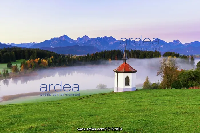 : Chapel, Hegratsrieder See, behind Tannheimer Berge : Chapel, Hegratsrieder See, behind Tannheimer Berge