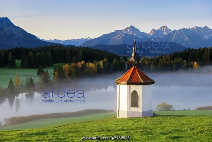 : Chapel, Hegratsrieder See, behind Tannheimer Berge : Chapel, Hegratsrieder See, behind Tannheimer Berge